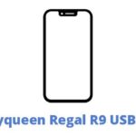 Royqueen Regal R9 USB Driver